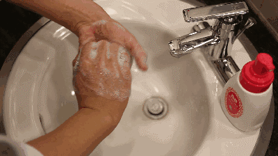 20190618a06.gif