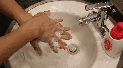 20190618a04.gif